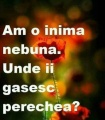 Alin-Viorel