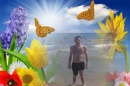 David19